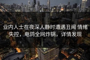 业内人士在夜深人静时遭遇丑闻 情绪失控，电鸽全网炸锅，详情发现