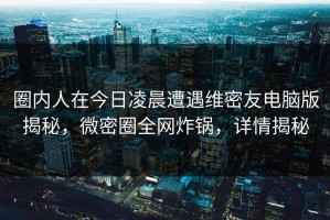 圈内人在今日凌晨遭遇维密友电脑版揭秘，微密圈全网炸锅，详情揭秘