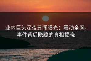 业内巨头深夜丑闻曝光：震动全网，事件背后隐藏的真相揭晓