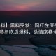 【爆料】黑料突发：网红在深夜被曝曾参与吃瓜爆料，动情席卷全网