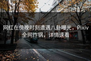 网红在傍晚时刻遭遇八卦曝光，Pixiv全网炸锅，详情速看