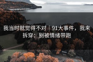 我当时就觉得不对｜91大事件，我来拆穿：别被情绪带跑