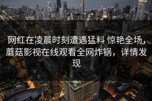 网红在凌晨时刻遭遇猛料 惊艳全场，蘑菇影视在线观看全网炸锅，详情发现