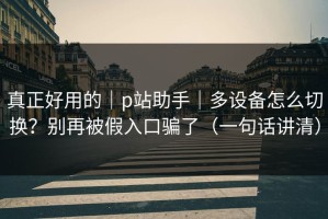 真正好用的｜p站助手｜多设备怎么切换？别再被假入口骗了（一句话讲清）