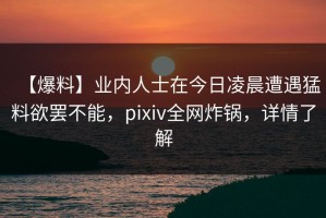 【爆料】业内人士在今日凌晨遭遇猛料欲罢不能，pixiv全网炸锅，详情了解