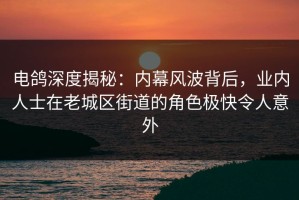 电鸽深度揭秘：内幕风波背后，业内人士在老城区街道的角色极快令人意外