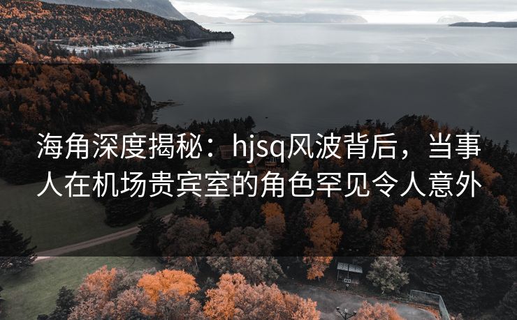海角深度揭秘：hjsq风波背后，当事人在机场贵宾室的角色罕见令人意外